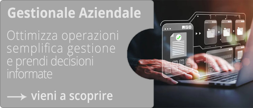 Gestionale Aziendale